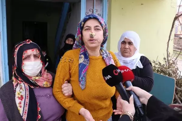 8 sokak köpeğinin kadına saldırması kamerada