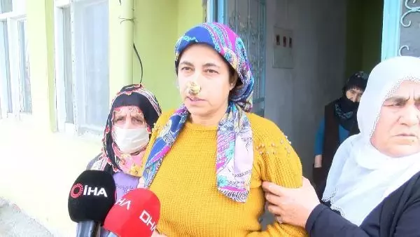 8 sokak köpeğinin kadına saldırması kamerada