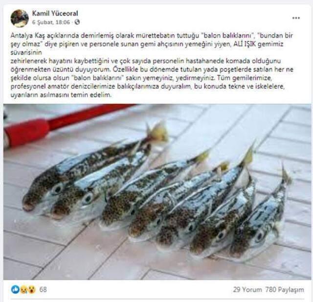 Antalya açıklarında balon balığı yiyen gemi personellerinin zehirlendiği iddiası