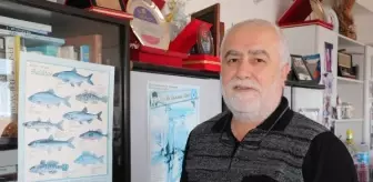 Karadeniz ısındı, balıkların boy ve göç yolları değişti