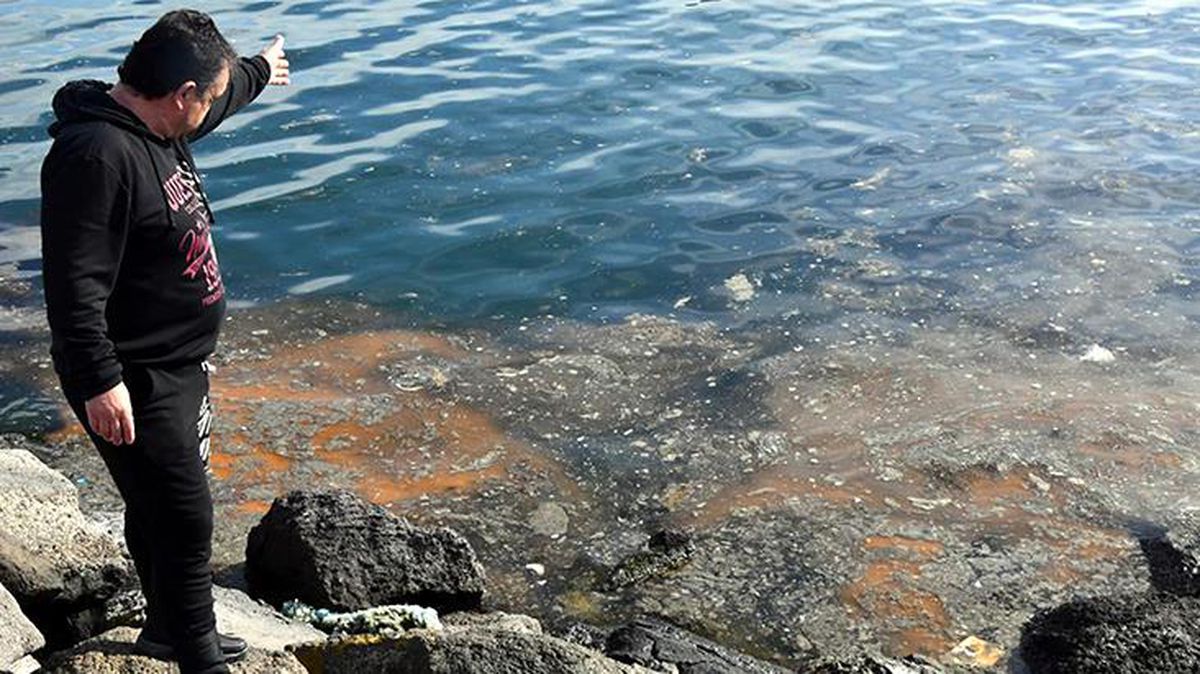 Marmara Denizi'ndeki 'deniz salyası' balıkçıları vurdu! Ağlar çamur gibi olunca elleri boş kaldı