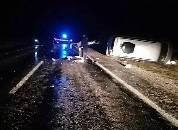 Son dakika haberi: Domuza çarpan hafif ticari araç şarampole yuvalandı: 3 ölü Son dakika haberi: Domuza çarpan hafif ticari araç şarampole yuvalandı: 3 ölü
