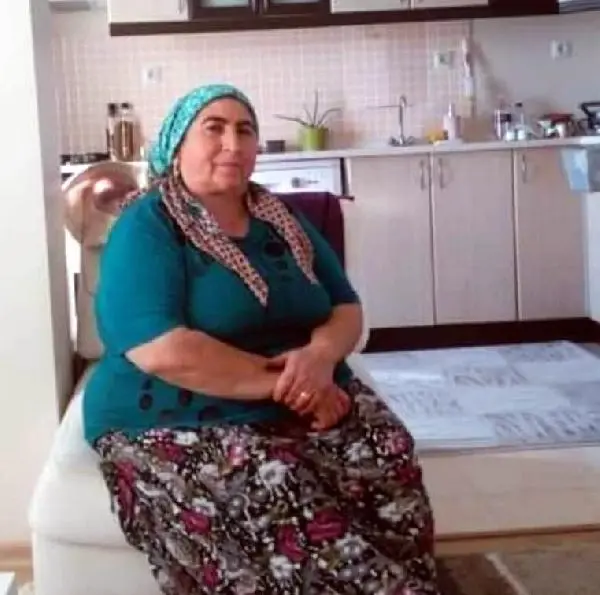 Son dakika haberi: Domuza çarpan hafif ticari araç şarampole yuvalandı: 3 ölü Son dakika haberi: Domuza çarpan hafif ticari araç şarampole yuvalandı: 3 ölü