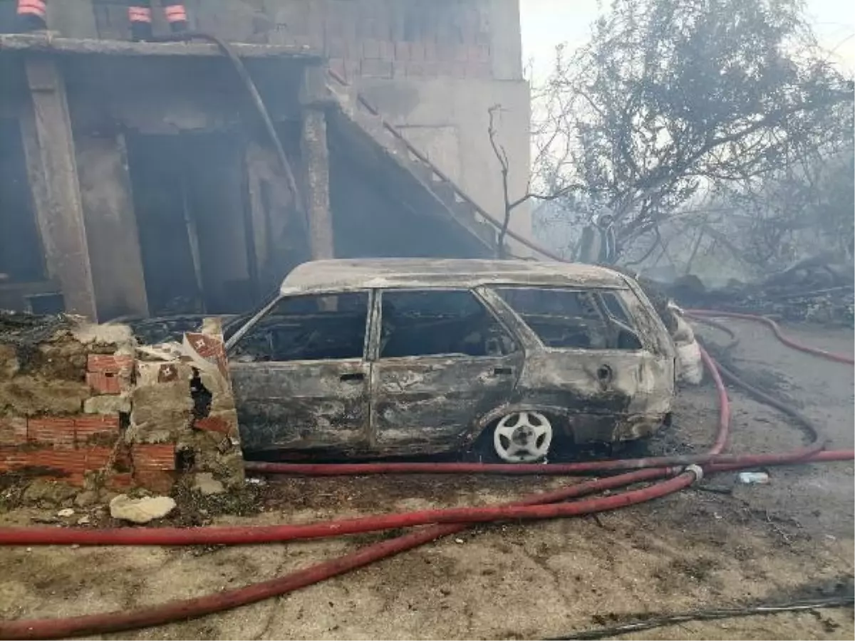 Ev yangınında hayvanlar telef oldu, 3 araç yandı