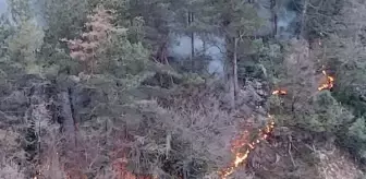 Kastamonu'da çıkan yangında 3 ev kül oldu