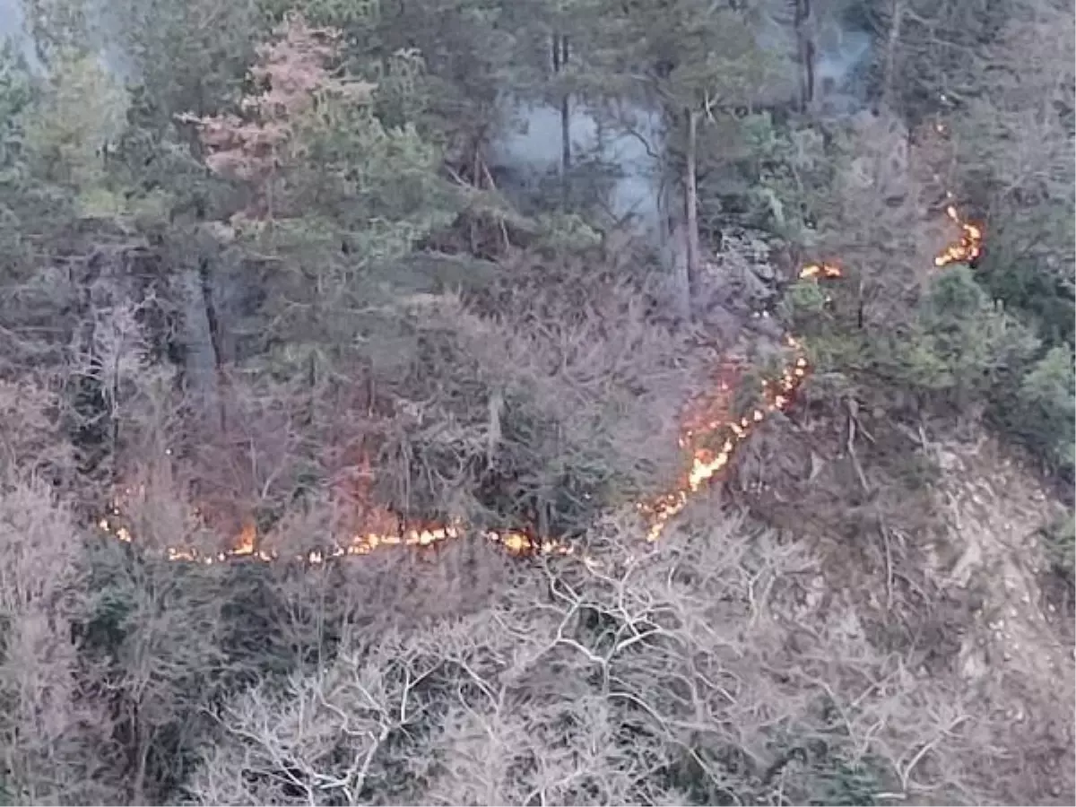 Kastamonu'da çıkan yangında 3 ev kül oldu