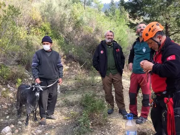 Kayalıklarda mahsur kalan keçi kurtarıldı Kayalıklarda mahsur kalan keçi kurtarıldı