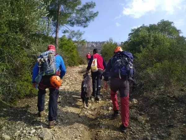 Kayalıklarda mahsur kalan keçi kurtarıldı Kayalıklarda mahsur kalan keçi kurtarıldı