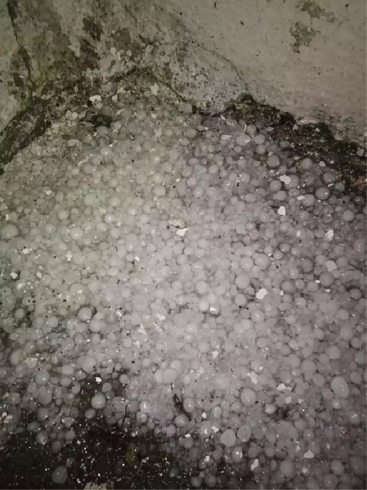 Malkara'da 20 dakika etkili olan dolu, ekili arazilere zarar verdi