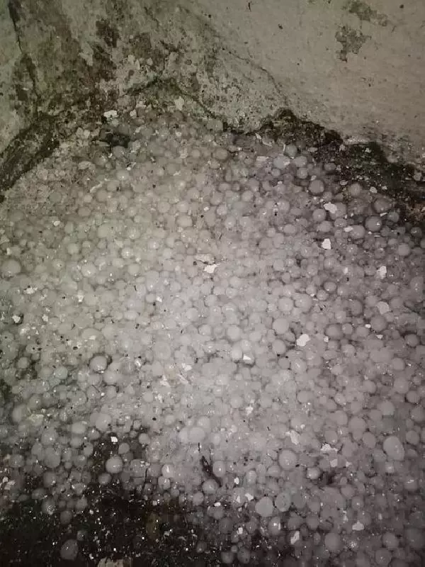 Malkara'da 20 dakika etkili olan dolu, ekili arazilere zarar verdi