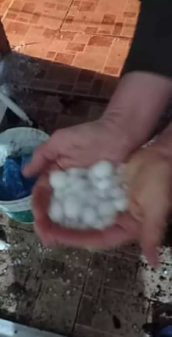 Malkara'da 20 dakika etkili olan dolu, ekili arazilere zarar verdi