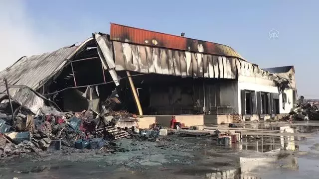 Narenciye paketleme fabrikasında çıkan yangın kontrol altına alındı Narenciye paketleme fabrikasında çıkan yangın kontrol altına alındı