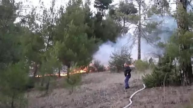 Pozantı'da çıkan orman yangınında 2 dönüm alan yandı Pozantı'da çıkan orman yangınında 2 dönüm alan yandı