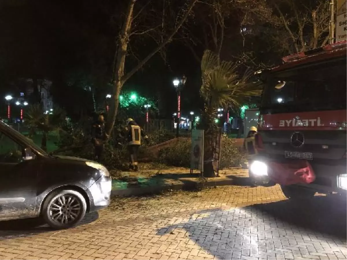 Şiddetli fırtına nedeniyle otomobilin üzerine ağaç devrildi