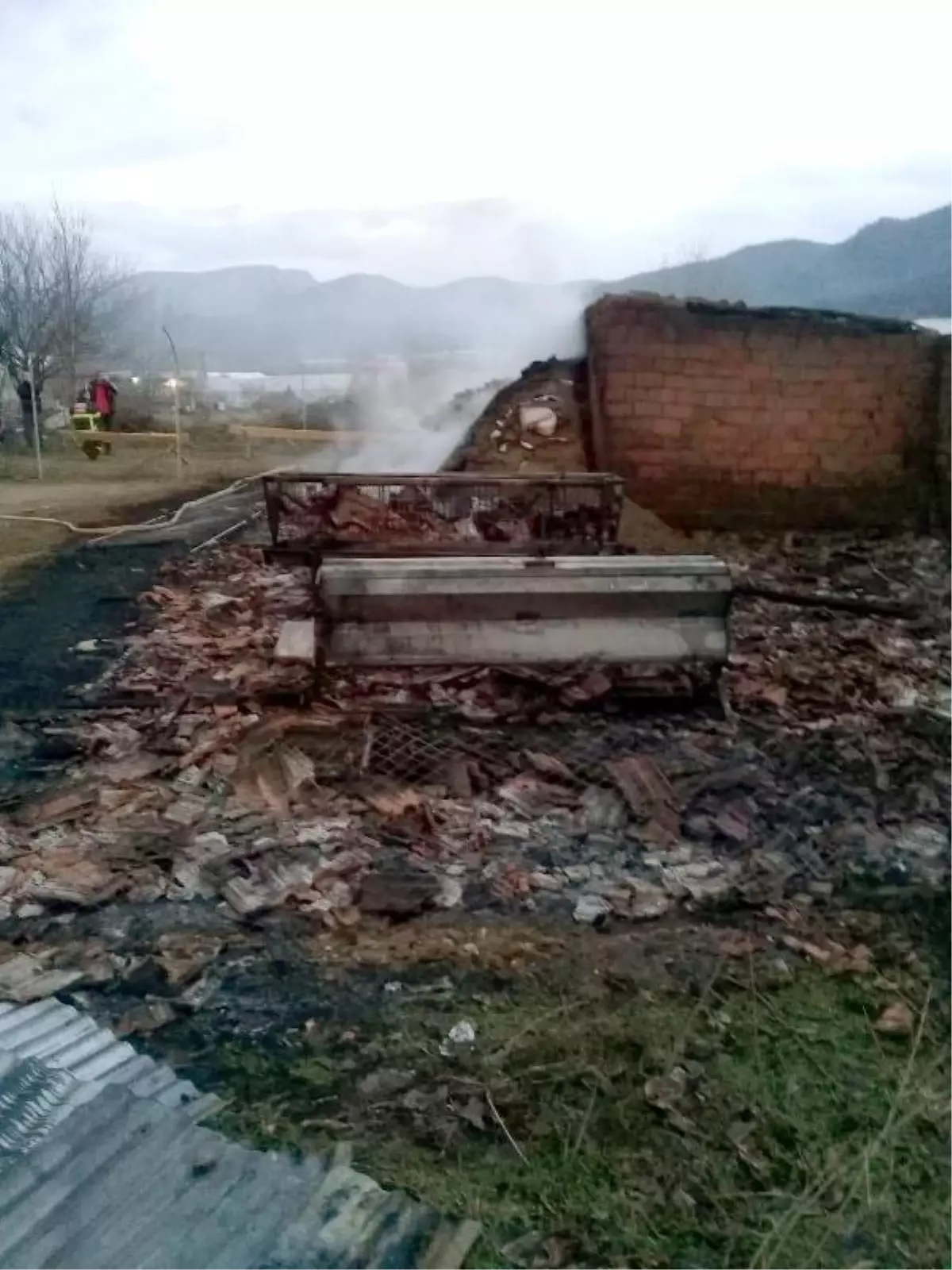 Ağılda çıkan yangında 56 küçükbaş hayvan telef oldu