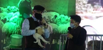 Bakan Pakdemirli, 12 yaşındaki fenomen çoban Şevki'ye koyun ve köpek hediye etti