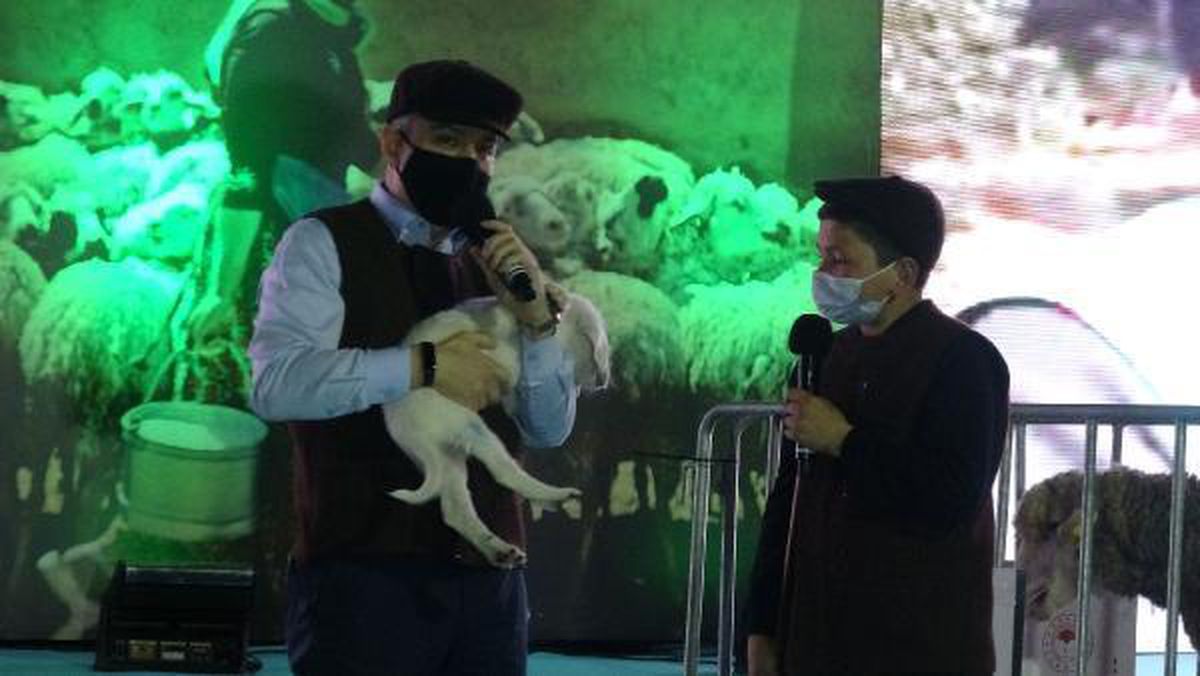 Bakan Pakdemirli, 12 yaşındaki fenomen çoban Şevki'ye koyun ve köpek hediye etti