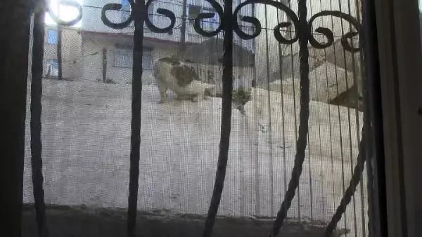 Balkona çıkacaklardı, metruk binanın duvarı dairelerinin üstüne düştü