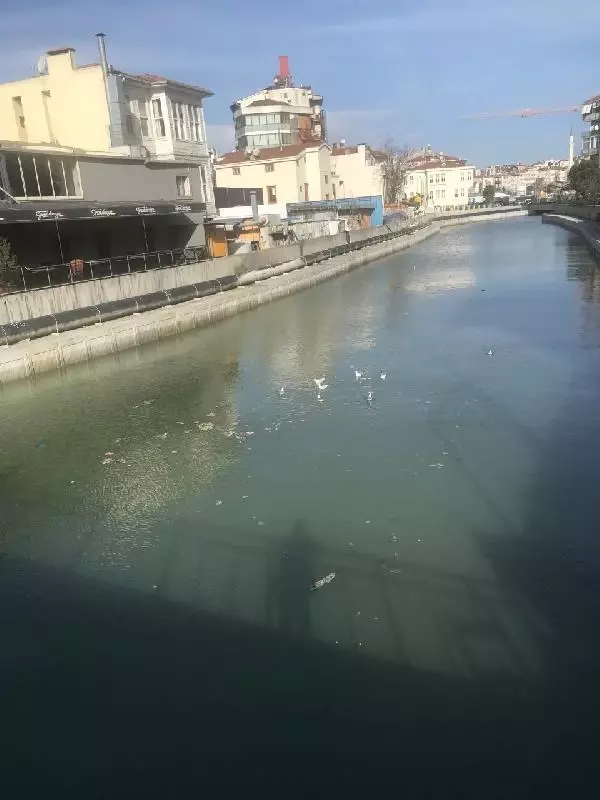 (Havadan fotoğrafla) Kurbağalıdere'de su tekrar bulanıklaştı, çöpler birikti (Havadan fotoğrafla) Kurbağalıdere'de su tekrar bulanıklaştı, çöpler birikti