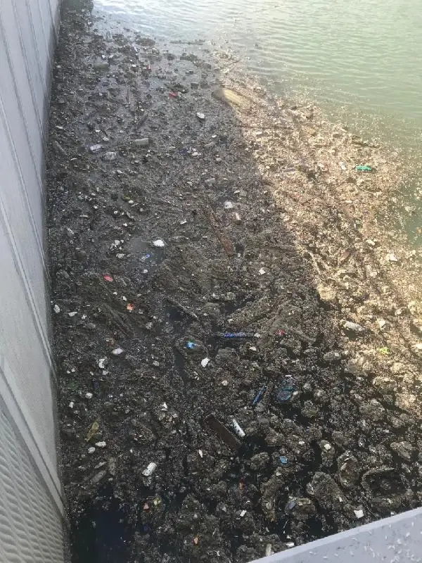 (Havadan fotoğrafla) Kurbağalıdere'de su tekrar bulanıklaştı, çöpler birikti (Havadan fotoğrafla) Kurbağalıdere'de su tekrar bulanıklaştı, çöpler birikti