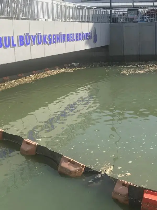 (Havadan fotoğrafla) Kurbağalıdere'de su tekrar bulanıklaştı, çöpler birikti (Havadan fotoğrafla) Kurbağalıdere'de su tekrar bulanıklaştı, çöpler birikti