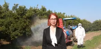 Koruyucu ekipman kullanılmadan yapılan tarımsal ilaçlamada zehirlenme riski