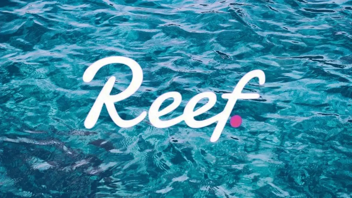 Reef (REEF) Coin nedir, nasıl alınır? Reef (REEF) yorum ve grafiği!