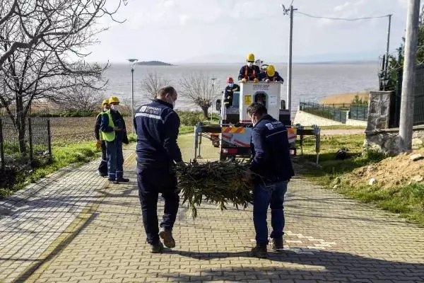 Avrupa'nın ilk ve tek 'Leylek Köyü'nde göç temizliği yapıldı Avrupa'nın ilk ve tek 'Leylek Köyü'nde göç temizliği yapıldı