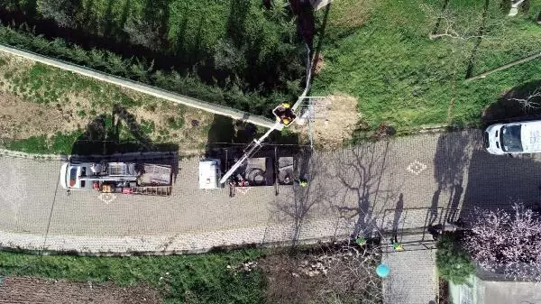 Avrupa'nın ilk ve tek 'Leylek Köyü'nde göç temizliği yapıldı Avrupa'nın ilk ve tek 'Leylek Köyü'nde göç temizliği yapıldı