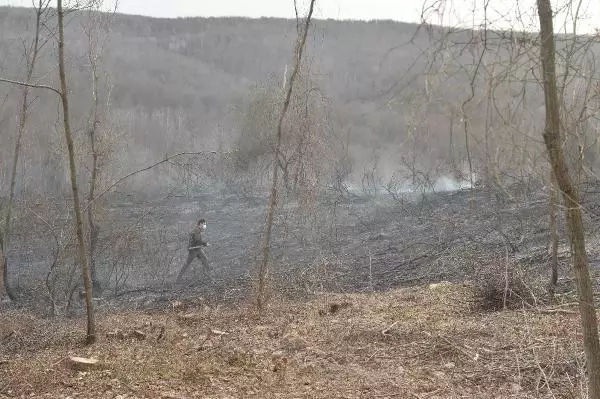 Beykoz'da ormanlık alanda yangın
