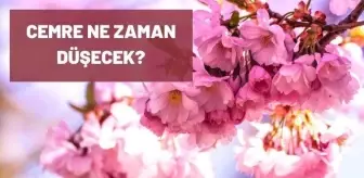 Bahar Bayramı: Cemre ne zaman düşecek? 2021 cemre ilk nereye düşer? Cemre kaç kere düşer? Bahar Bayramı: Cemre ne zaman düşecek? 2021 cemre ilk nereye düşer? Cemre kaç kere düşer?