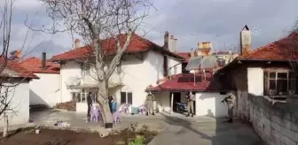 Kokain: Son dakika haberi! Denizli merkezli uyuşturucu operasyonunda 50 şüpheli yakalandı Kokain: Son dakika haberi! Denizli merkezli uyuşturucu operasyonunda 50 şüpheli yakalandı