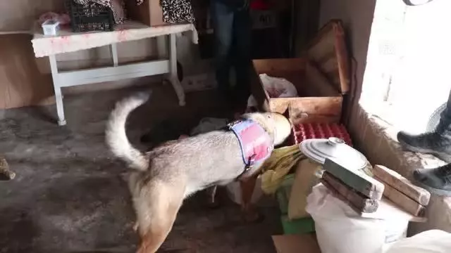Son dakika haberi! Denizli merkezli uyuşturucu operasyonunda 50 şüpheli yakalandı Son dakika haberi! Denizli merkezli uyuşturucu operasyonunda 50 şüpheli yakalandı