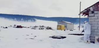 Kışın evlerin boşaltıldığı yaylada, komandolardan operasyon