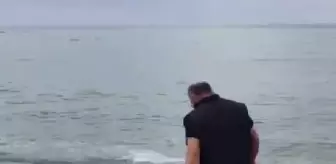 Kıyıya vuran yunusu kurtardı