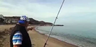 Kıyıya vuran yunusu kurtardı (2)