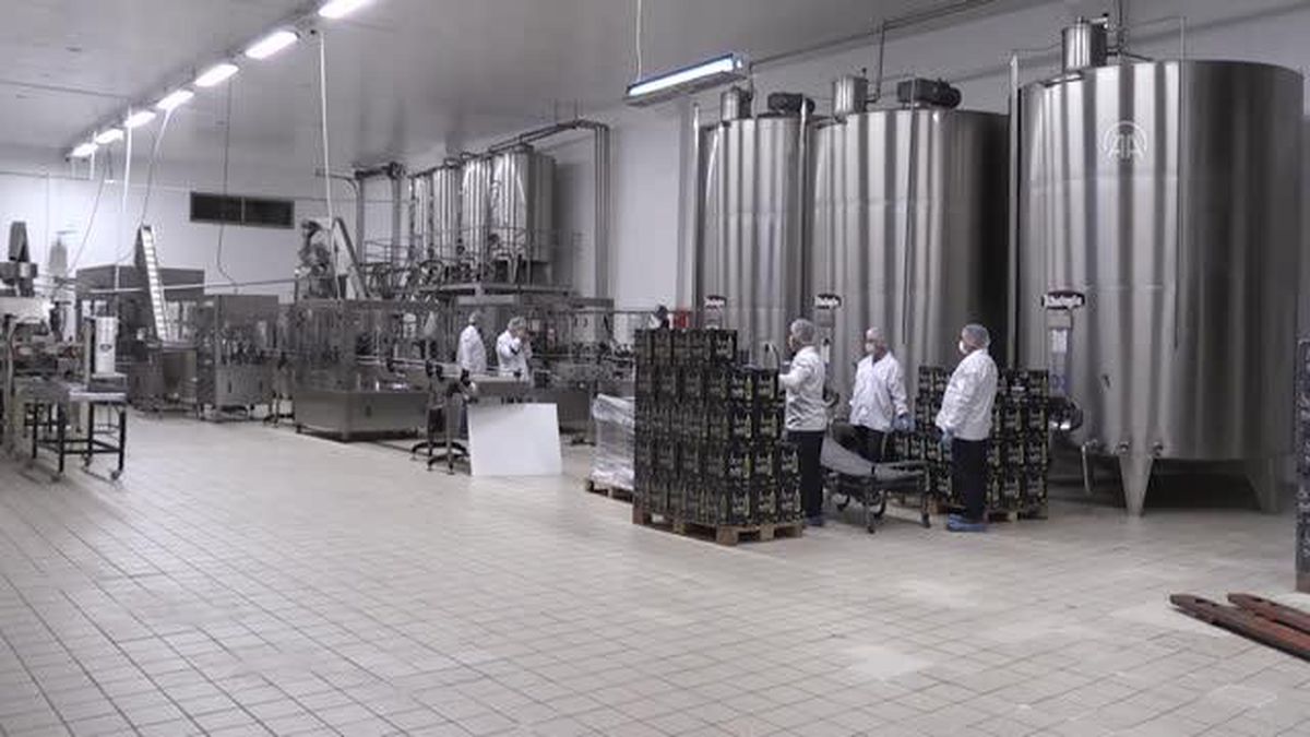 Zeytinyağındaki rekolte düşüşüne rağmen hedef 120 milyon dolarlık ihracat