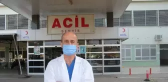'Balon balığı zehri birkaç dakikada öldürüyor, hayatta kalanların felç ve koma riski var'