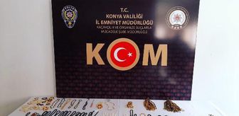 'Caretta caretta kabuğu ve bufalo boynuzundan takı' operasyonu: 3 gözaltı