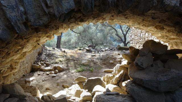 Roma'nın Kolezyum'una benzeyen 1800 yıllık gladyatör alanı arkeoloji dünyasına bomba gibi düştü
