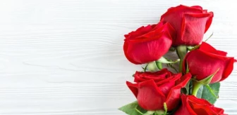 Sevgililer günü hediyesi bayan için ne alınır? 14 Şubat sevgililer günü mesajları, sözleri