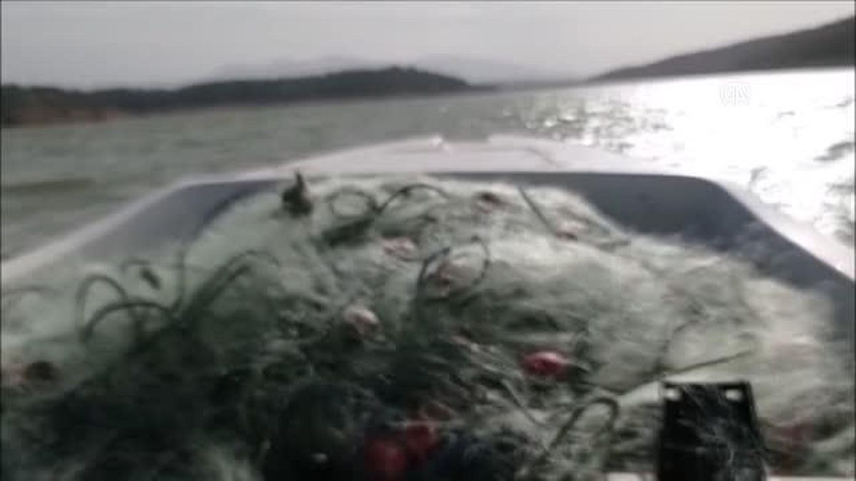 Sevişler Barajı'na kaçak kurulan 1 kilometrelik ağ imha edildi