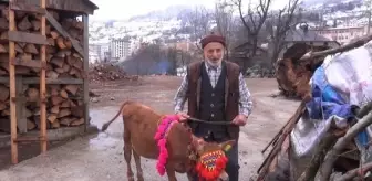 65 yıllık eşine Sevgililer Günü için buzağı hediye etti