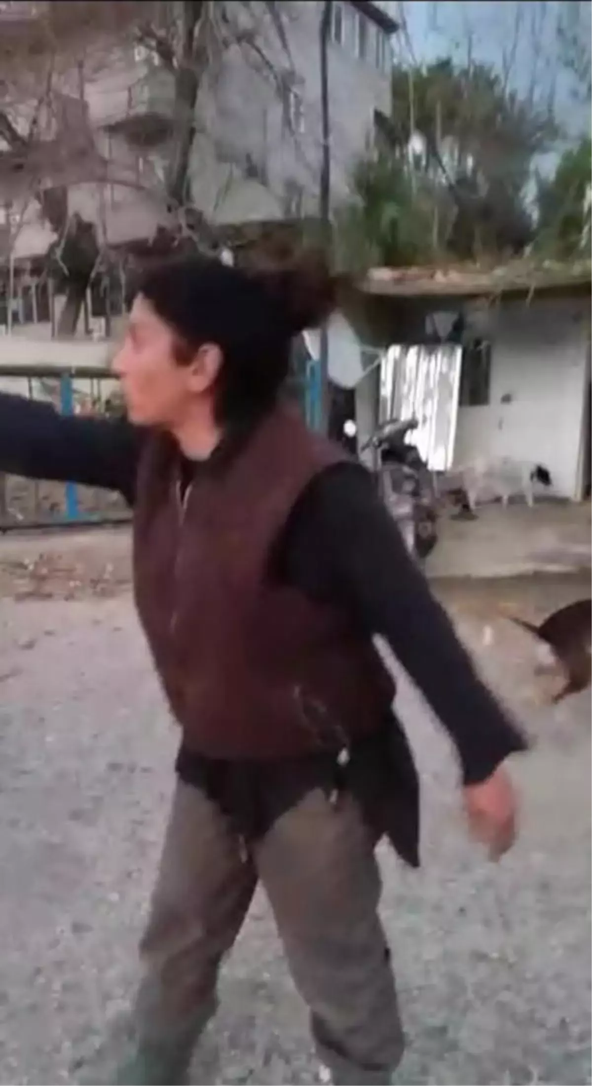 Barakası yıkılan kadın pompalı tüfekle dehşet saçtı: 2 yaralı