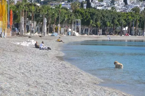 Bodrum'da güneşli havanın keyfini turistler çıkardı Bodrum'da güneşli havanın keyfini turistler çıkardı