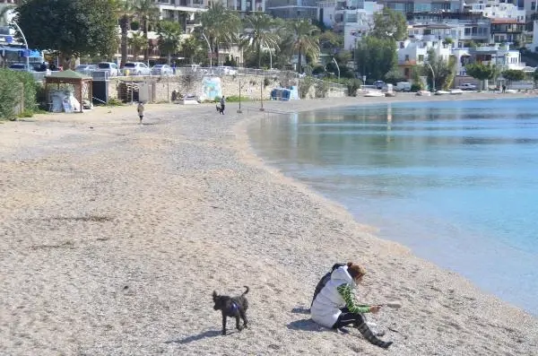 Bodrum'da güneşli havanın keyfini turistler çıkardı Bodrum'da güneşli havanın keyfini turistler çıkardı
