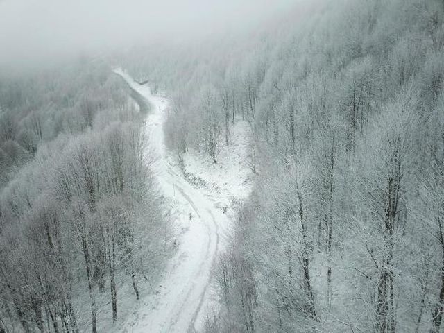 kartepe de kar etkili oldu 4 13924708 o