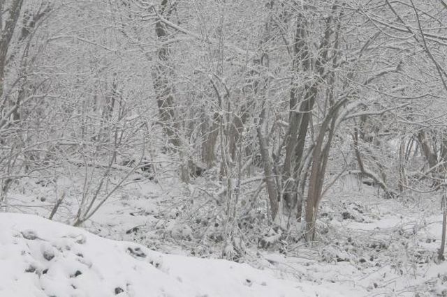 kartepe de kar etkili oldu 8 13924708 o