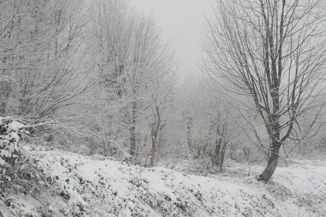 kartepe de kar etkili oldu 9 13924708 o