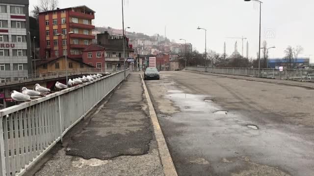 zonguldak dogu marmara ve bati karadeniz de s 3 13924520 o